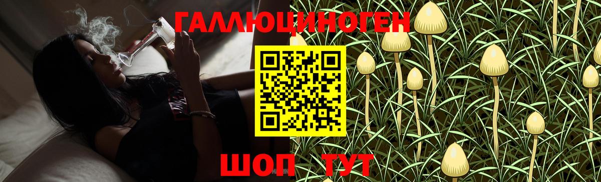 Рославль  Псилоцибиновые грибы прущие грибы  Галлюциногенные грибы мицелий  Вход с VPN 